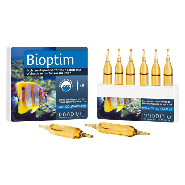 Prodibio Bioptim 6 Ampullen