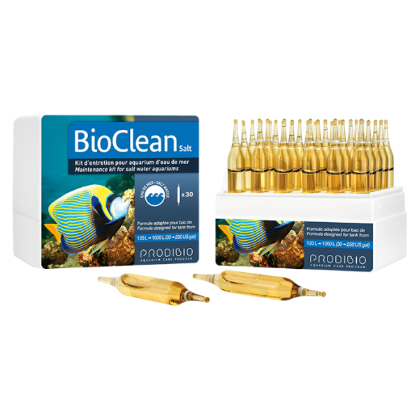 Prodibio BioClean 30 Ampullen