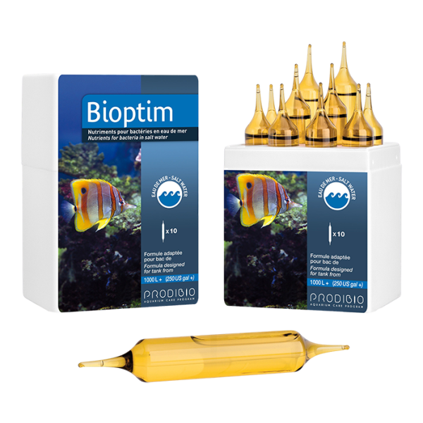 Prodibio Bioptim PRO 10 Ampullen