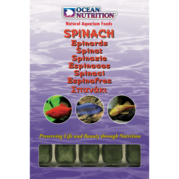 Ocean Nutrition Spinach 100 g