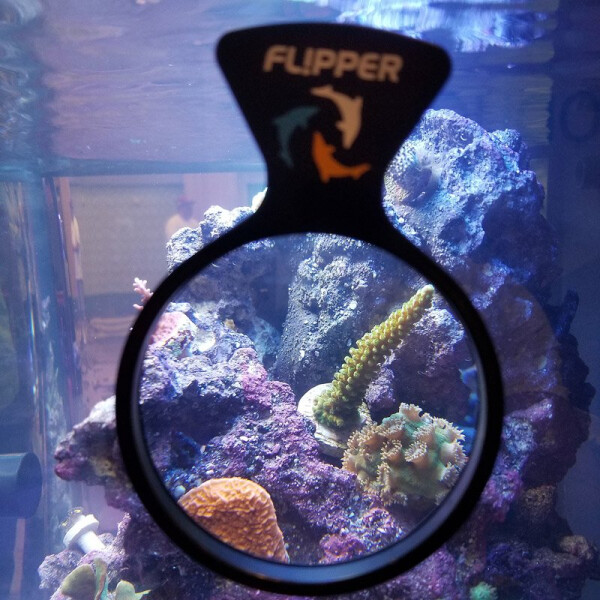 Flipper DeepSee Nano 7.6 cm