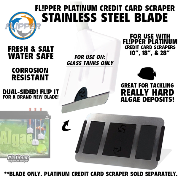 Flipper Platinum Scraper Stainless Replacement Cards