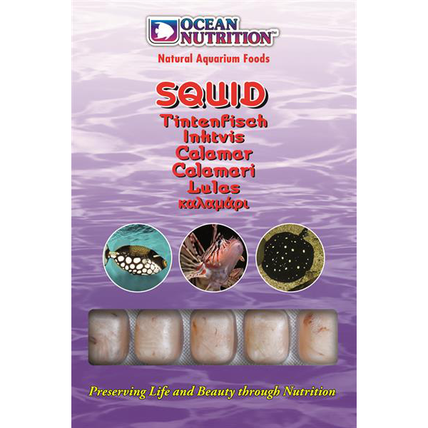 Ocean Nutrition Squid 100 g