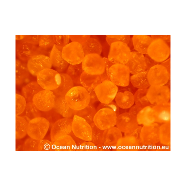 Ocean Nutrition Shell Free Artemia