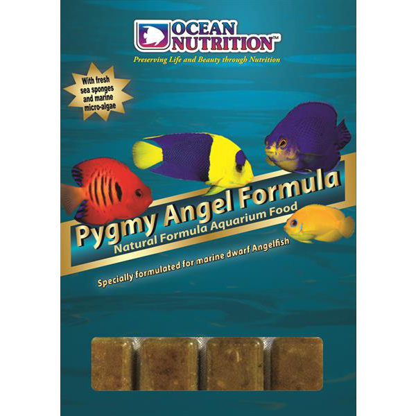 Pygmy Angel Formula