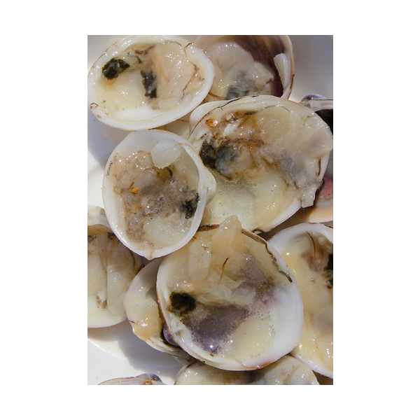 Ocean Nutrition Clams on the half Shell (Mono Tray) 100 g